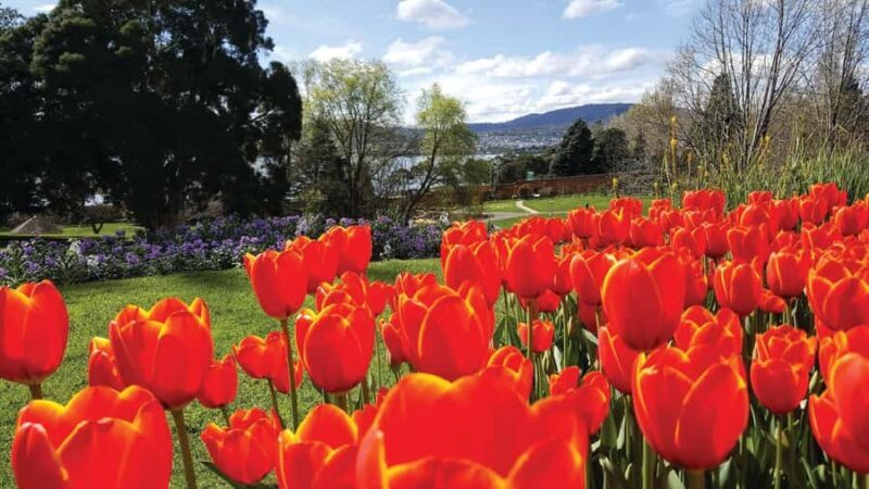 Hobart: 3-Hour City Sightseeing Tour - Key Points