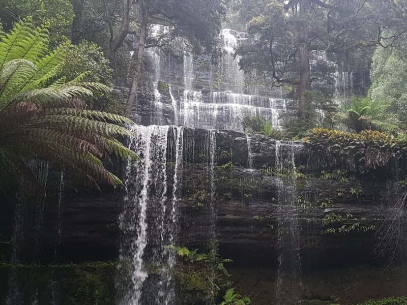 Hobart: 4 Day Wild Tasmania Tour - An Inside Look at the 4-Day Wild Tasmania Tour