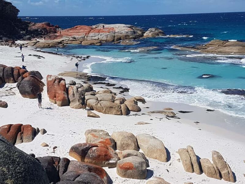 Hobart: 4 Day Wild Tasmania Tour - What It’s Like to Travel with Wild Tasmania Tours