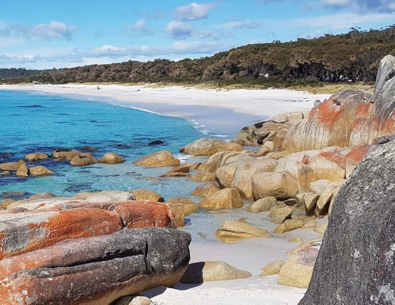 Hobart: 4 Day Wild Tasmania Tour - Final Thoughts