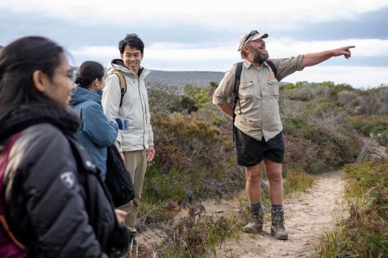 Hobart: Bruny Island Adventure: Hike, Highlights & Tastes - Exploring the Bruny Island Experience