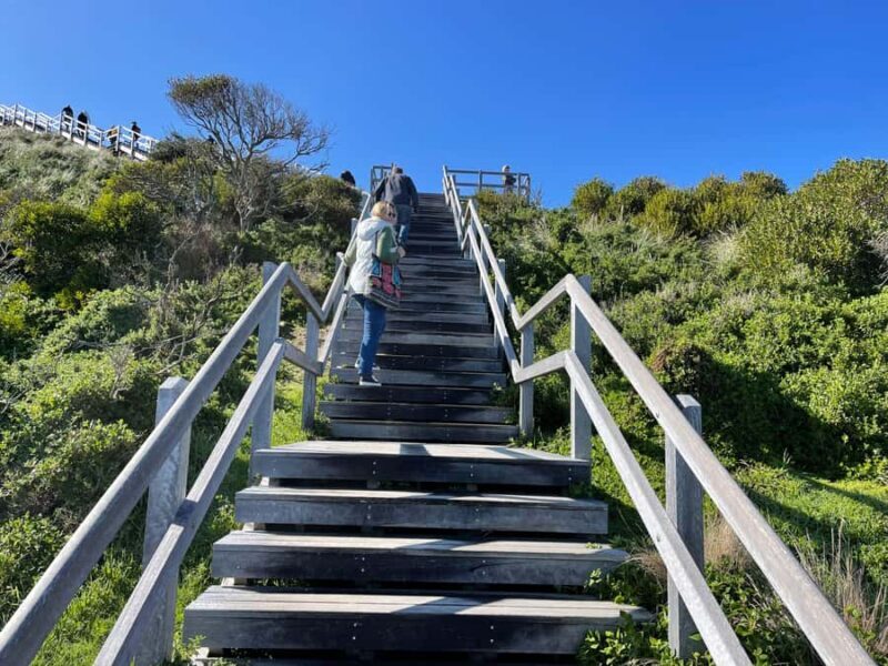 Hobart: Bruny Island Adventure: Hike, Highlights & Tastes - The Sum Up: Is It Worth It?