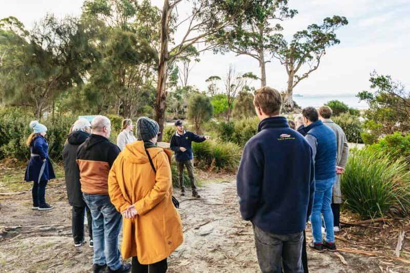 Hobart: Bruny Island Gourmet Sightseeing Day Tour - Hobart: Bruny Island Gourmet Sightseeing Day Tour – a Taste of Tasmania’s Iconic Island