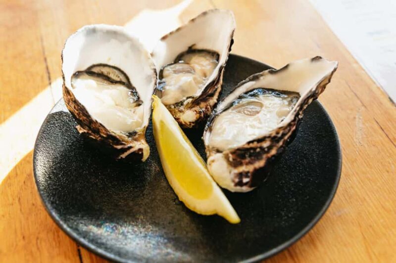 Hobart: Bruny Island Gourmet Sightseeing Day Tour - Final Thoughts