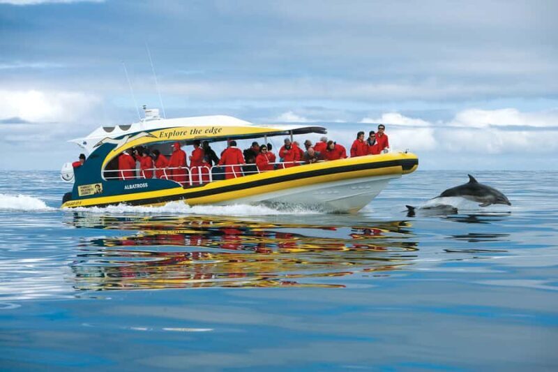Hobart: Bruny Island Wilderness Coast Eco Cruise with Lunch - What Makes This Tour Stand Out?