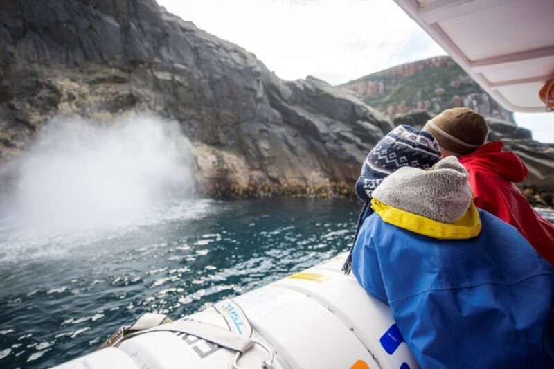 Hobart: Bruny Island Wilderness Coast Eco Cruise with Lunch - The Value Proposition: Is It Worth It?