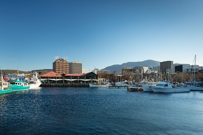 Hobart City Sightseeing Tour including MONA Admission - Key Points