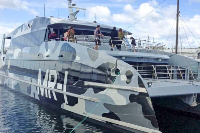 Hobart City Sightseeing Tour including MONA Ticket - What Makes This Tour Stand Out?