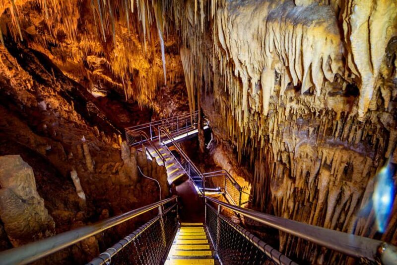 Hobart: Hastings Cave, Tahune Airwalk and Huon Tasting Trail - Considerations and Tips