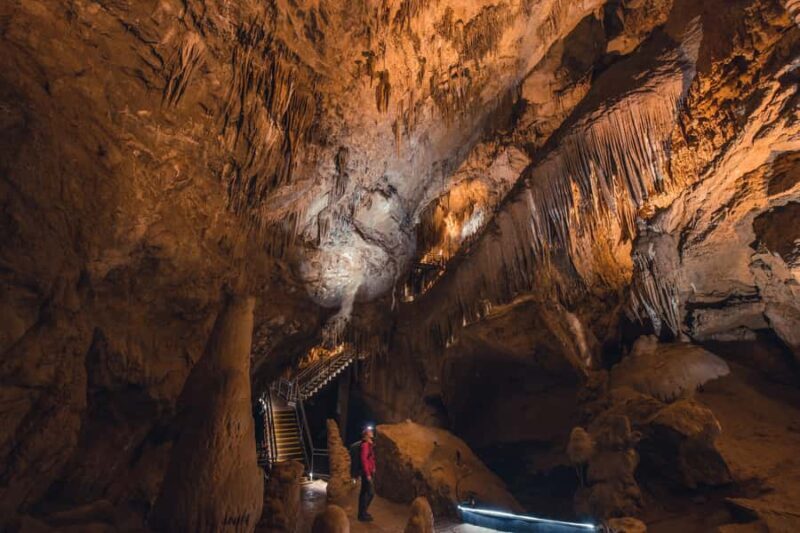Hobart: Hastings Cave, Tahune Airwalk and Huon Tasting Trail - The Value of the Experience
