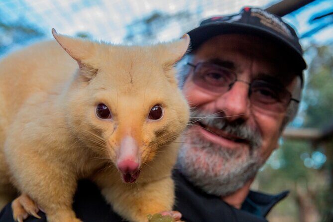 Hobart Highlights Day Tour - FAQs