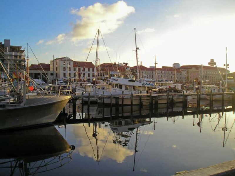 Hobart Historic Walking Tour - Authentic Reviews: What Travelers Say