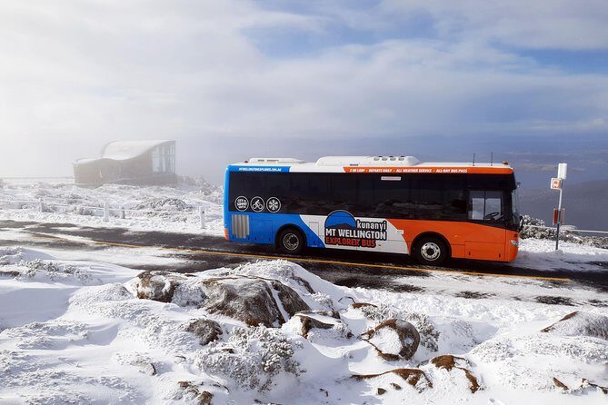 Hobart Hop-On Hop-Off Bus & kunanyi/Mt Wellington Tour - Who Should Book This Tour?