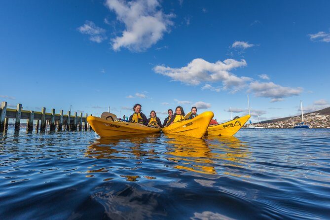 Hobart Kayak Tour - Key Points