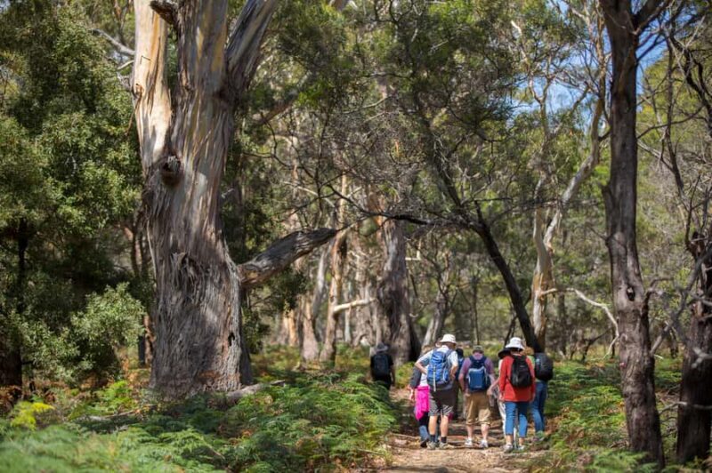 Hobart: Maria Island National Park Active Full-Day Tour - An In-Depth Look at the Tour Experience
