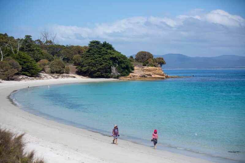 Hobart: Maria Island National Park Active Full-Day Tour - The Sum Up