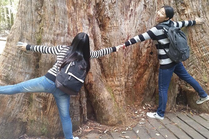 Hobart: Mt. Field, Mt Wellington & Wildlife - Active Day Tour - What’s Included and What to Consider