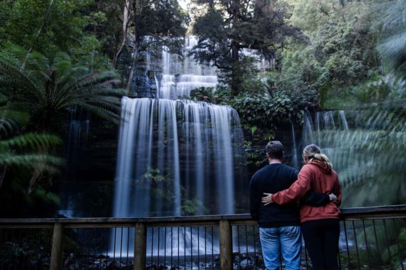 Hobart: Mt Field National Park & Wildlife Shore Excursion - Key Points