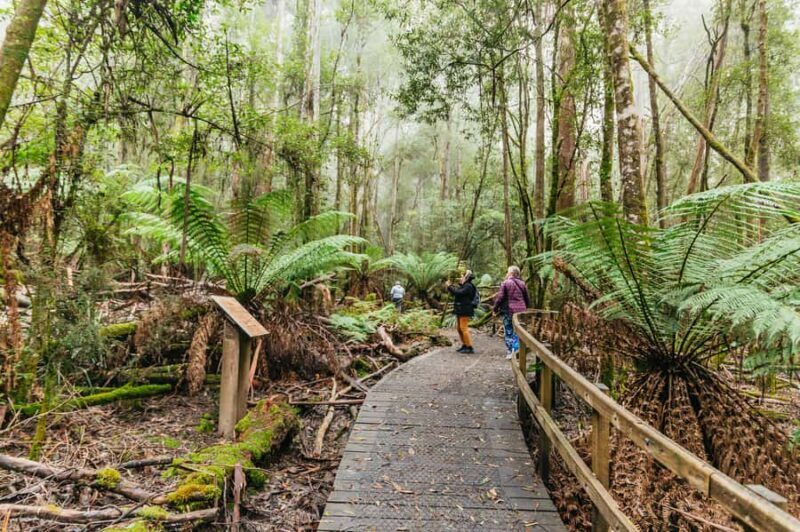 Hobart: Mt Wellington, Mt Field, Bonorong and Richmond Trip - FAQ