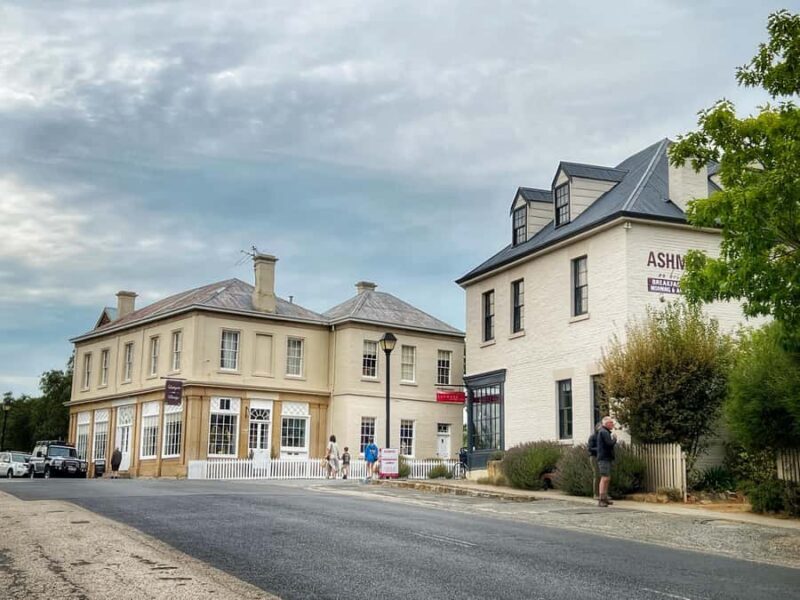 Hobart: Mt Wellington, Richmond, & Bonorong Wildlife Tour - Final Thoughts