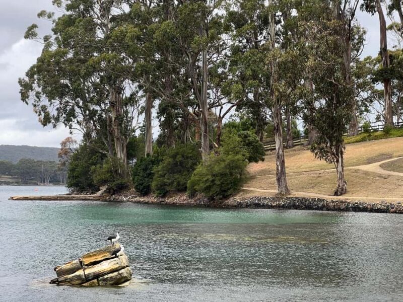 Hobart: Port Arthur & Tasman Park Full-Day Trip with Cruise - Optional Add-ons and Saturday Market