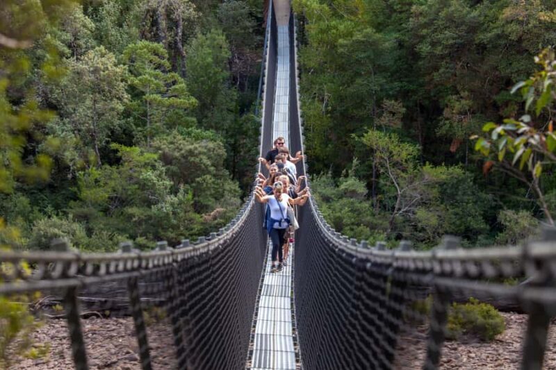 Hobart: Tahune Airwalk, Hastings Cave, Thermal Springs Tour - Exploring Tasmania’s Natural Wonders: The Hobart: Tahune Airwalk, Hastings Cave, Thermal Springs Tour