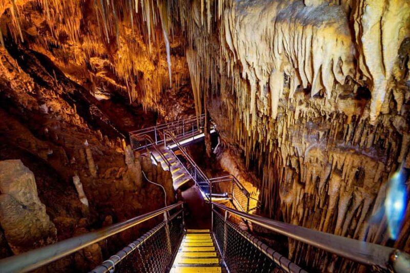 Hobart: Tahune Airwalk, Hastings Cave, Thermal Springs Tour - The Sum Up