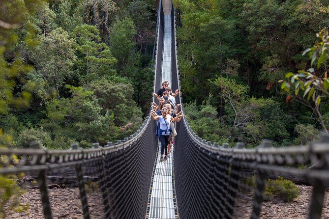 Hobart: Tahune Airwalk, Hastings Caves & Thermal Springs Pool - A Full-Day Tasmania Nature Fix