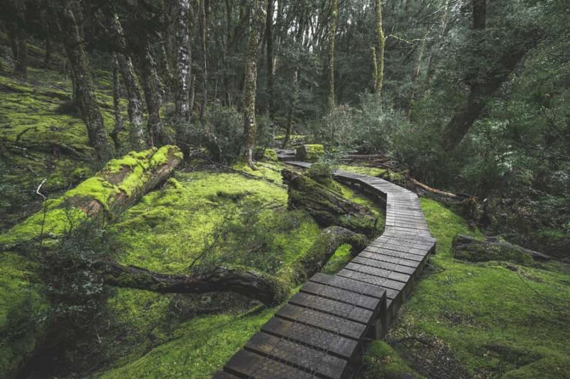 Hobart to Cradle Mountain to Launceston - Departure and Transportation