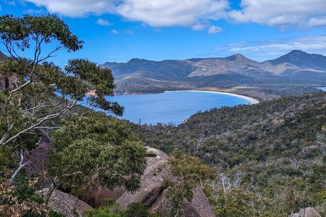 Hobart to Launceston via Wineglass Bay - Active Tour - Who Will Love This Tour?