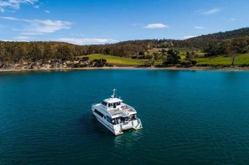 Hobart: Ultimate Seafood Cruise on a Spacious Catamaran - Key Points