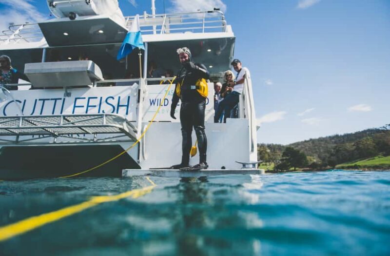 Hobart: Ultimate Seafood Cruise on a Spacious Catamaran - Who Will Love This Experience?