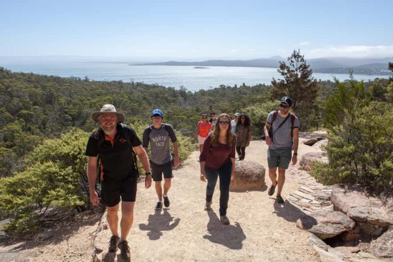 Hobart: Wineglass Bay & Freycinet National Park Active Tour - A Balanced Look: Pros and Cons