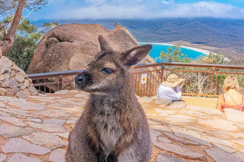 Hobart: Wineglass Bay, Freycinet Park, and Richmond Tour - Key Points