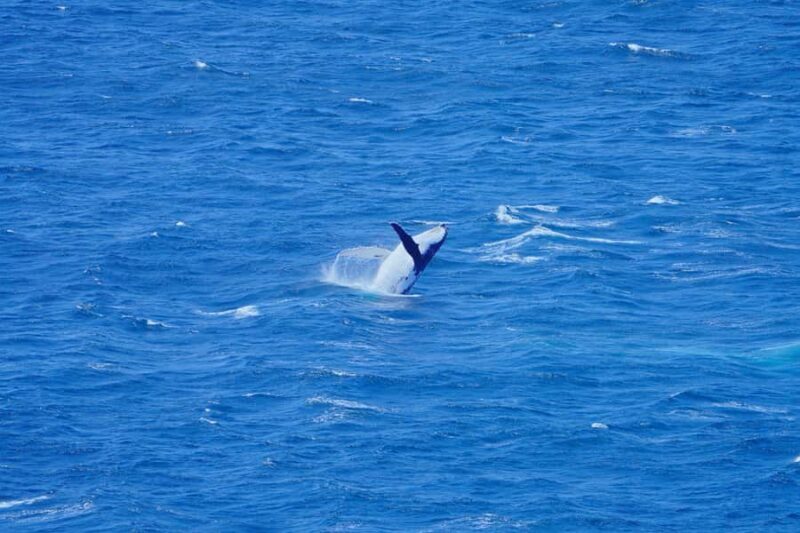 Hobart: Wineglass Bay, Freycinet Park, and Richmond Tour - Transport and Group Size