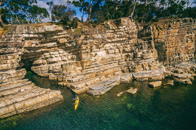 Hobart's Cliffs, Caves and Beaches Kayak Tour - Key Points
