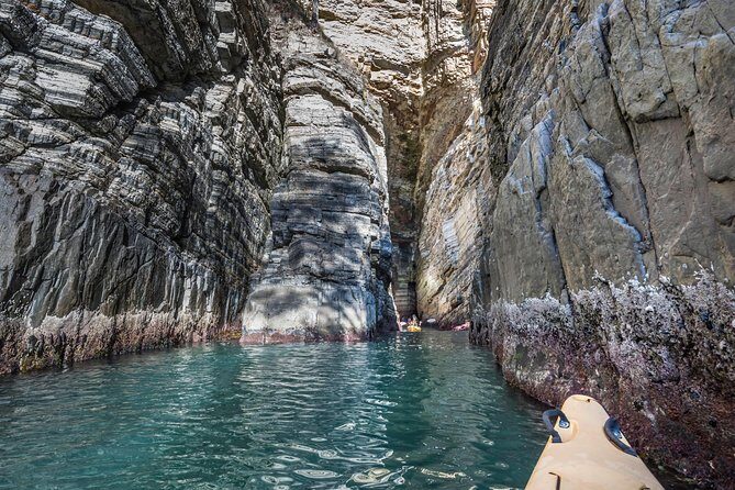 Hobart's Cliffs, Caves and Beaches Kayak Tour - The Practical Side: What You Need to Know