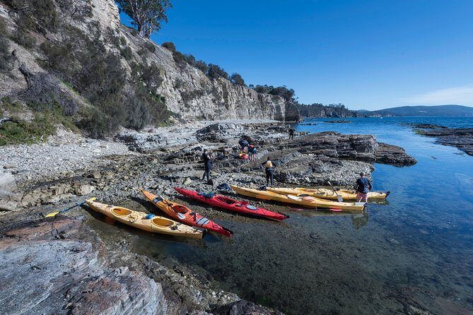 Hobart's Cliffs, Caves and Beaches Kayak Tour - Review Highlights
