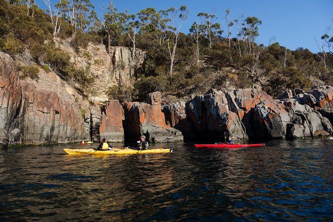 Hobart's Cliffs, Caves and Beaches Kayak Tour - Frequently Asked Questions