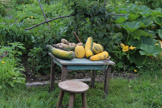 Hobbiton Afternoon Tour in Luxury Minibus from Auckland - FAQ