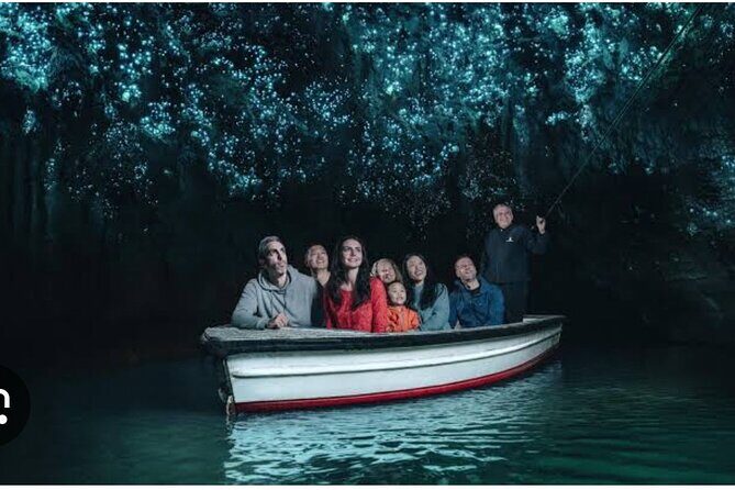 Hobbiton and Waitomo Caves Arrive in Comfort and Style - The Transportation and Group Size