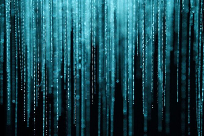 Hobbiton and Waitomo Caves Small Tour from Auckland - Who Should Consider This Tour?