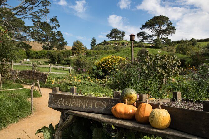 Hobbiton Day Tour from Rotorua with lunch at Hobbiton - FAQ: Your Questions Answered