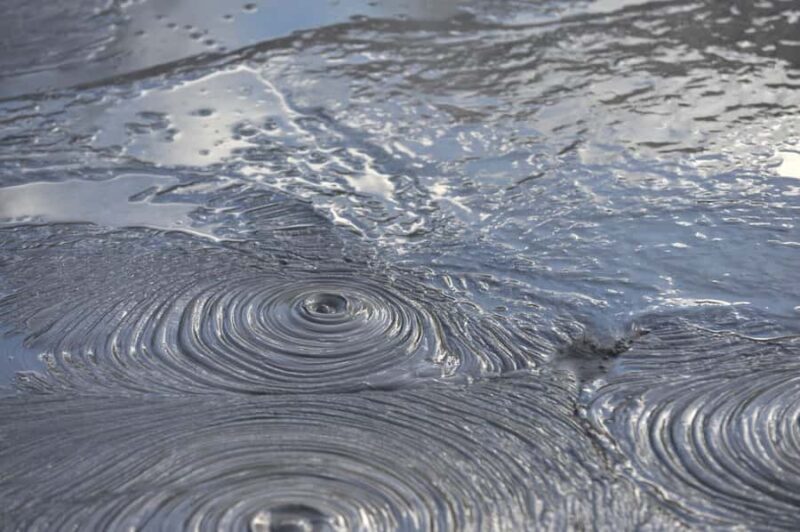 Hobbiton Movie Set & Rotorua Premium Day Tour from Auckland - Authentic Experiences That Stand Out