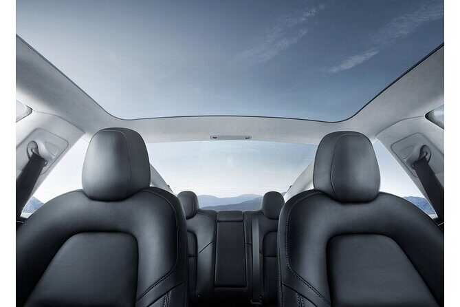 Hobbiton Movie Set Small Group Private Transfer from Auckland - End of the Day: Return and Drop-off