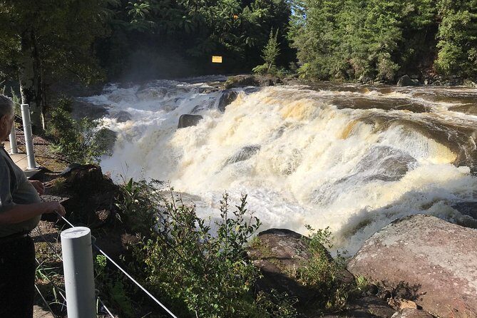 Hobbiton movie set tour and a lot more beautiful NZ sights - Who Will Enjoy This Tour?