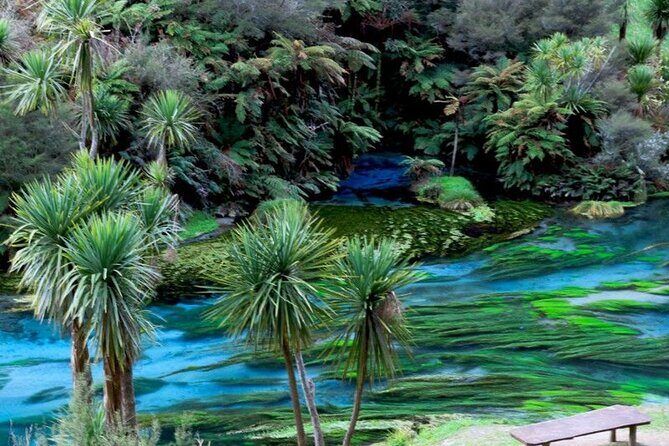 Hobbiton Movie Set Tour to Blue Springs and Mineral Spa - Frequently Asked Questions