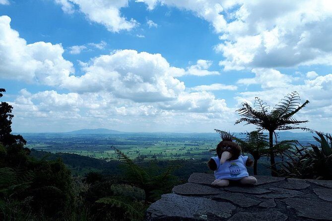 Hobbiton Transport & Tauranga Highlights Excursion from Tauranga - Transport and Group Size