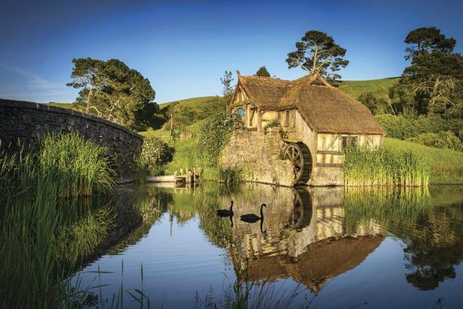 Hobbiton & Waitomo Caves Guided Day Trip from Auckland incl lunch - Transportation and Group Size