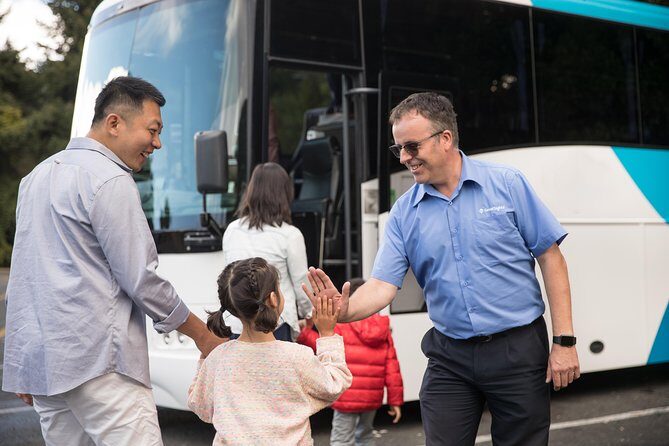 Hobbiton & Waitomo Caves Guided Tour from Auckland with Lunch - Hobbiton Movie Set: Stepping Into Middle-earth